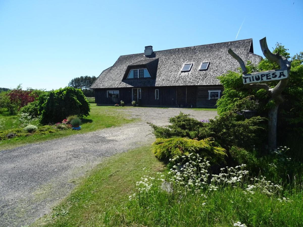 Tiiupesa Guest House Hellamaa (Hiiumaa) Exterior foto